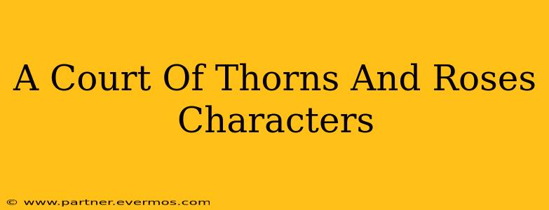 A Court Of Thorns And Roses Characters