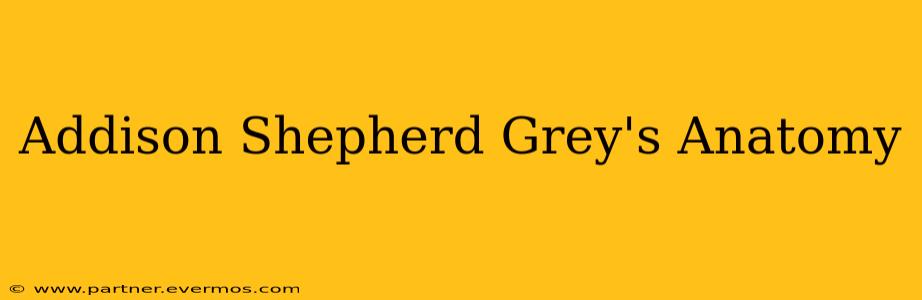 Addison Shepherd Grey's Anatomy