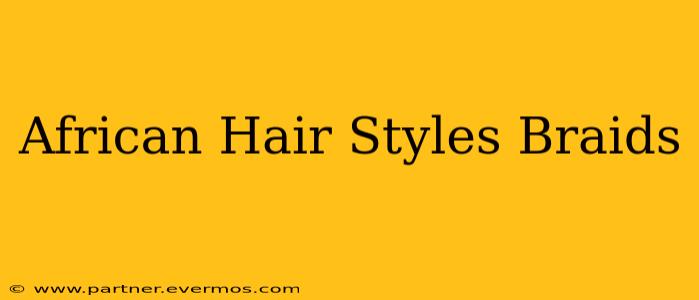 African Hair Styles Braids