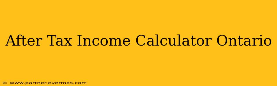 After Tax Income Calculator Ontario