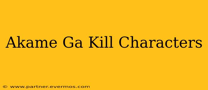 Akame Ga Kill Characters
