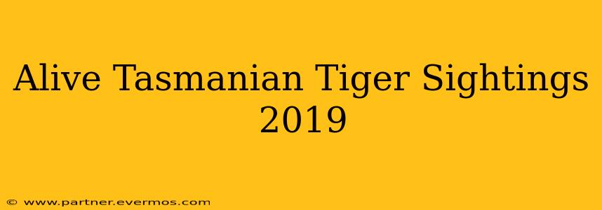 Alive Tasmanian Tiger Sightings 2019