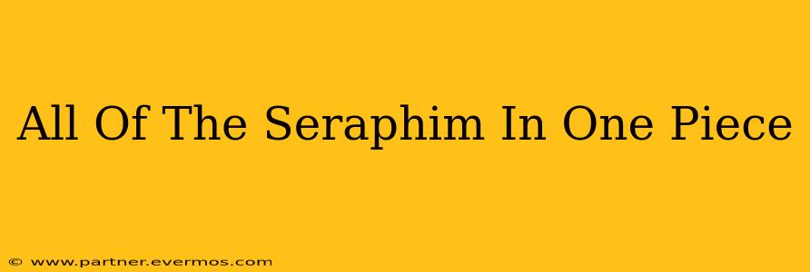 All Of The Seraphim In One Piece