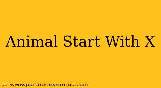 Animal Start With X