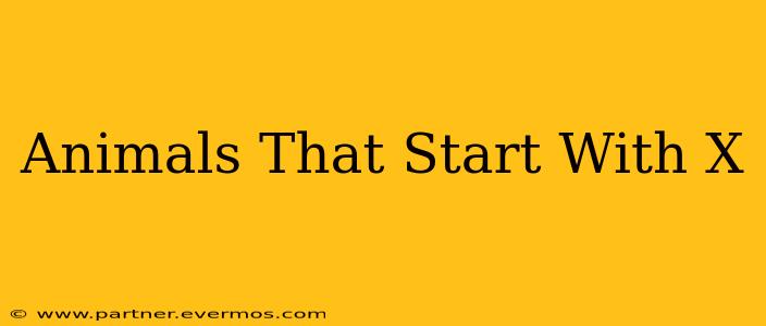 Animals That Start With X