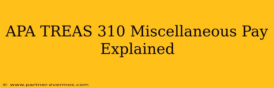 APA TREAS 310 Miscellaneous Pay Explained