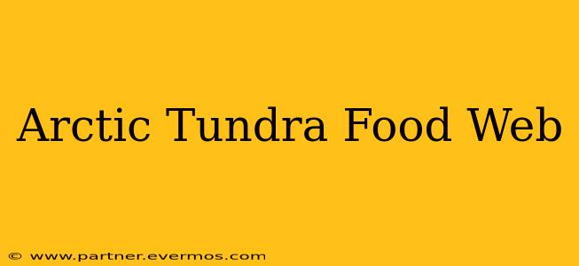 Arctic Tundra Food Web