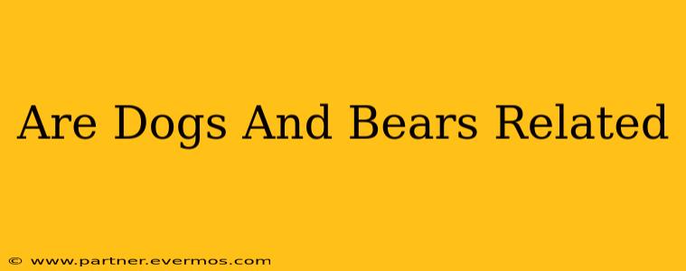 Are Dogs And Bears Related