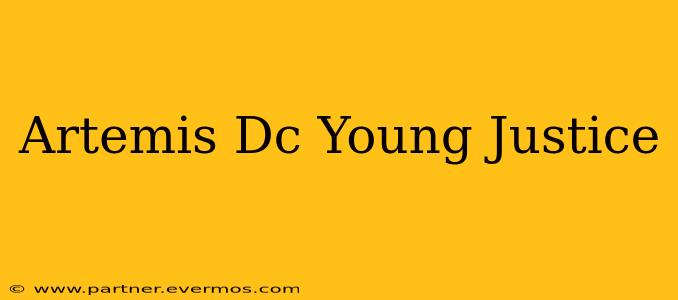 Artemis Dc Young Justice