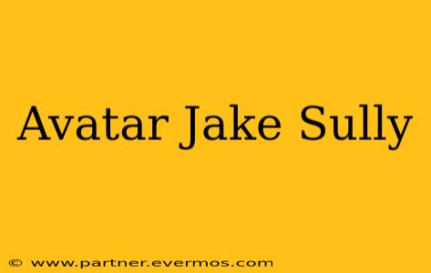 Avatar Jake Sully