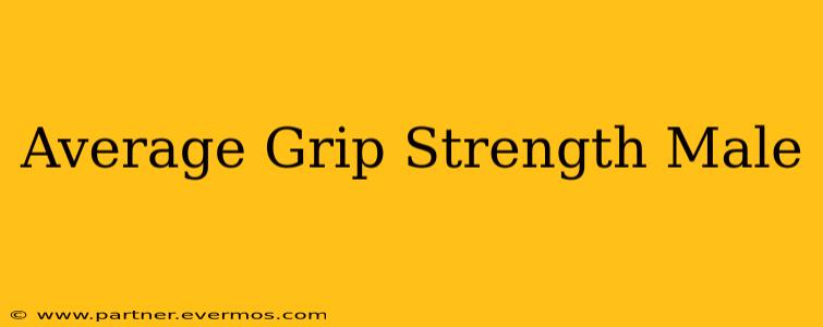 Average Grip Strength Male