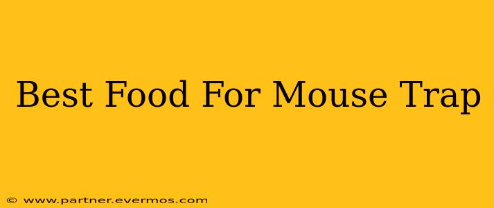 Best Food For Mouse Trap