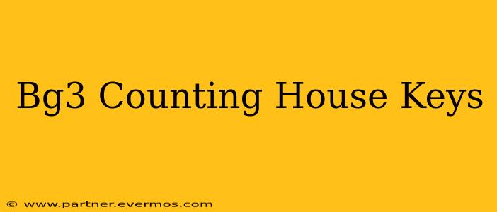 Bg3 Counting House Keys