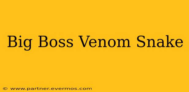 Big Boss Venom Snake