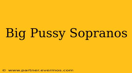 Big Pussy Sopranos