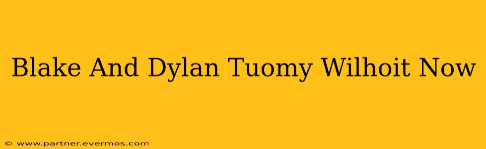 Blake And Dylan Tuomy Wilhoit Now