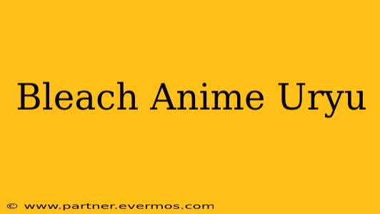 Bleach Anime Uryu
