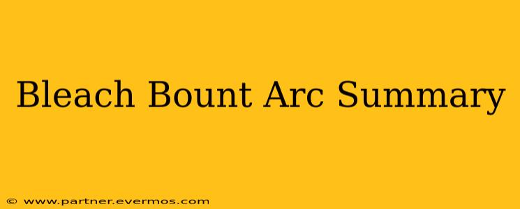 Bleach Bount Arc Summary