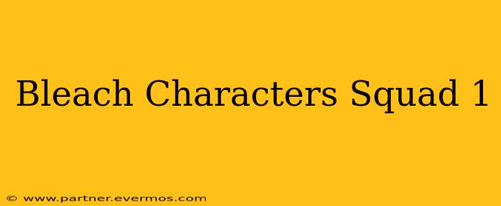 Bleach Characters Squad 1
