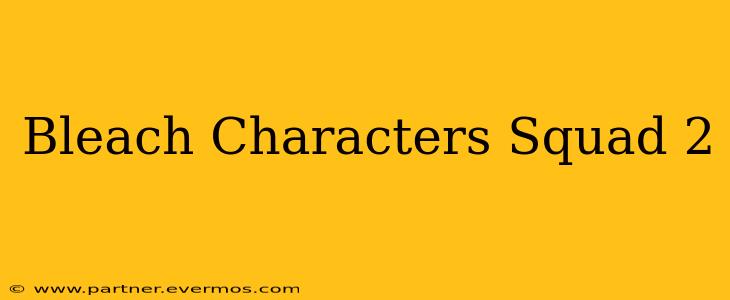 Bleach Characters Squad 2