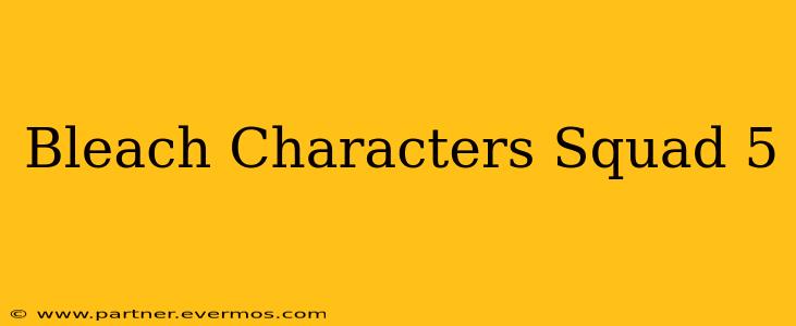 Bleach Characters Squad 5