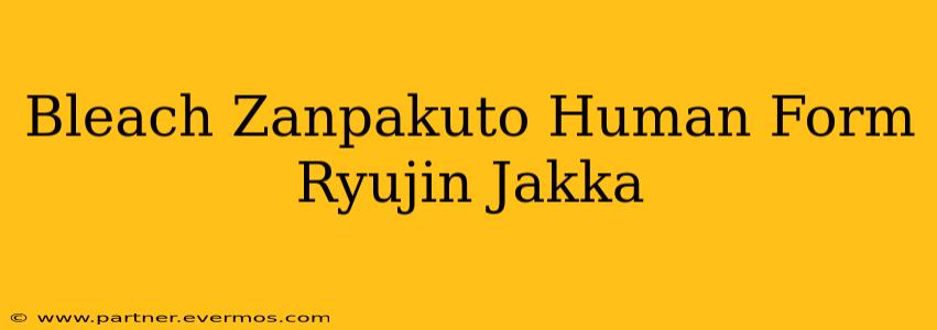 Bleach Zanpakuto Human Form Ryujin Jakka