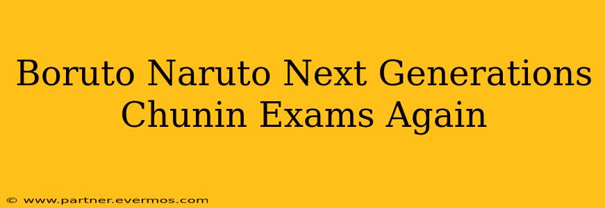 Boruto Naruto Next Generations Chunin Exams Again