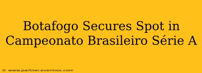 Botafogo Secures Spot in Campeonato Brasileiro Série A