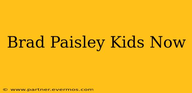 Brad Paisley Kids Now