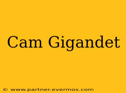 Cam Gigandet
