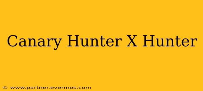 Canary Hunter X Hunter