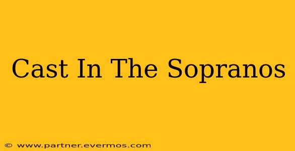 Cast In The Sopranos