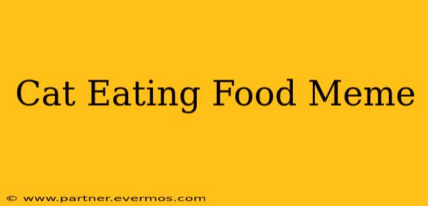 Cat Eating Food Meme