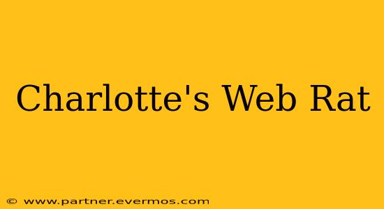 Charlotte's Web Rat