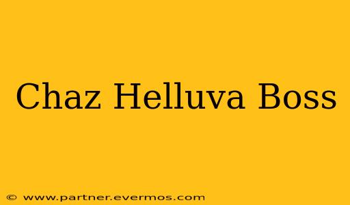 Chaz Helluva Boss