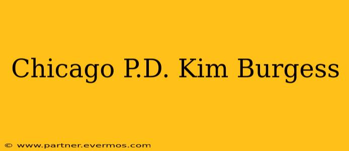 Chicago P.D. Kim Burgess