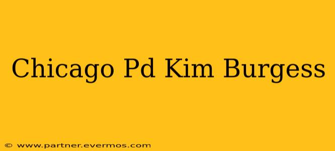 Chicago Pd Kim Burgess