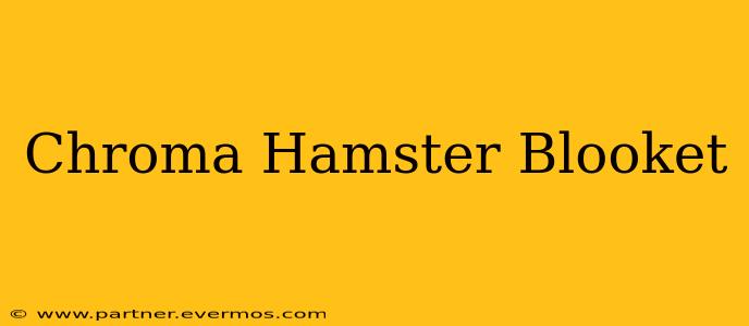 Chroma Hamster Blooket