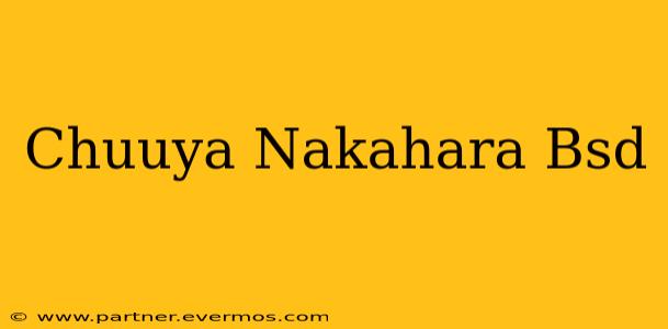 Chuuya Nakahara Bsd