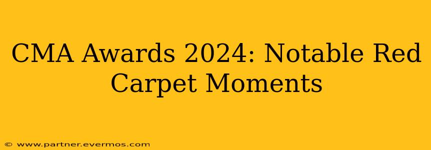 CMA Awards 2024: Notable Red Carpet Moments