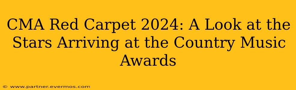 CMA Red Carpet 2024: A Look at the Stars Arriving at the Country Music Awards