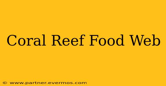 Coral Reef Food Web