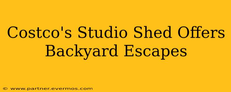 Costco's Studio Shed Offers Backyard Escapes
