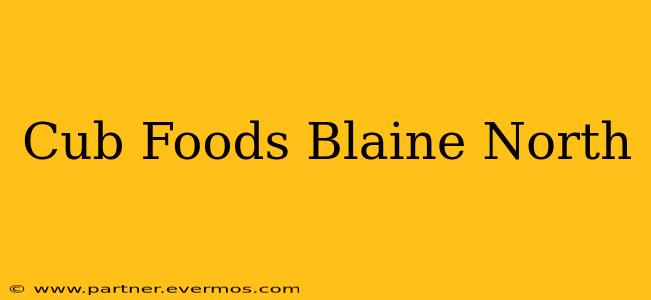 Cub Foods Blaine North