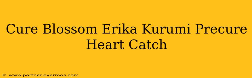 Cure Blossom Erika Kurumi Precure Heart Catch