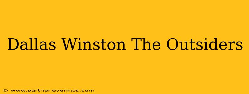 Dallas Winston The Outsiders