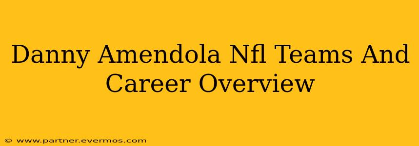 Danny Amendola Nfl Teams And Career Overview