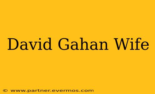 David Gahan Wife