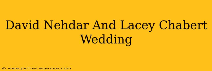 David Nehdar And Lacey Chabert Wedding