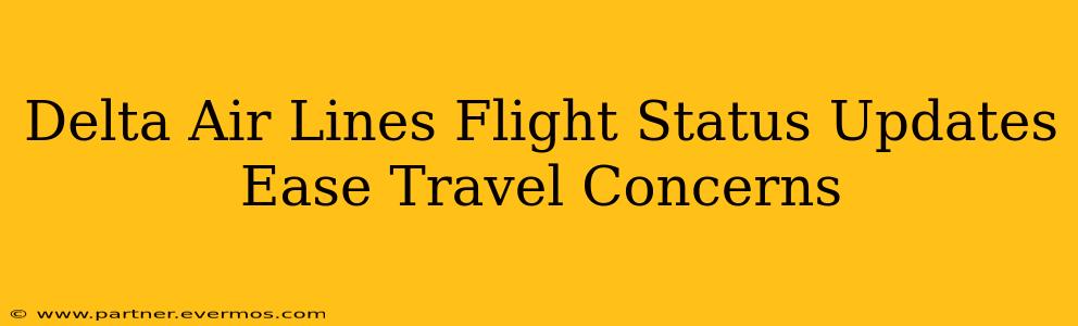 Delta Air Lines Flight Status Updates Ease Travel Concerns